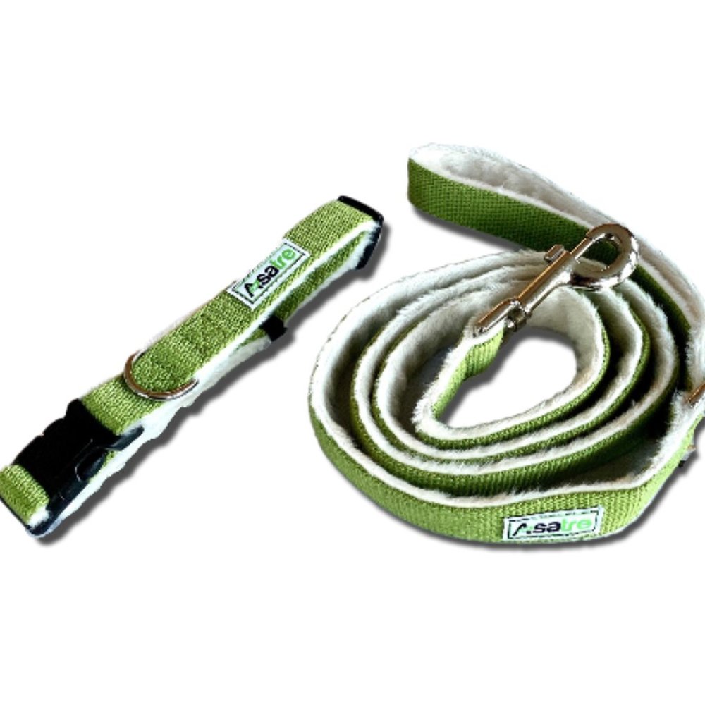 Asatre Green Hemp Dog Collar and Leash Set